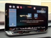 Cupra Terramar VZ 2.0 TSI DSG 4Drive LEDER AHK 5J GAR bei Autohaus Landmann & Maier OHG