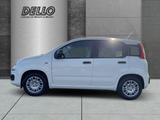 Fiat Panda Gewerbeleasing Klimaanlage Parkpilot ZV - Fiat Panda Neuwagen