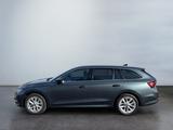 Skoda Octavia Combi 2.0 TDI Style 4xSitzheiz,AHK,Navi - Skoda Octavia Gebrauchtwagen in Münster