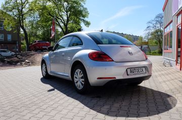 Volkswagen Beetle - 6
