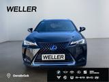 Lexus UX 250h Style Edition *Bi-LED*ACC*CAM*SHZ*CarPla - Lexus Gebrauchtwagen