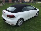 Volkswagen Golf 2.0 TDI LIFE BMT Cabriolet LIFE BlueMot... - Volkswagen Golf mit Diesel-Antrieb: Cabrio