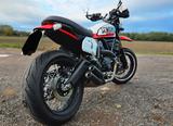 Ducati Scrambler Urban Motard  - Offers matching your search criteria