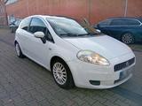 Fiat Fian Punto - gebrauchte Fiat Punto aus dem Jahr 2008