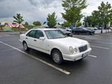 Mercedes-Benz Mercedes W 210  E 320 4 Matic  99 tkm - Mercedes-Benz E-Klasse: W210