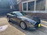 Ford Mustang 5.0 Ti-VCT V8 GT  - Ford Mustang in Krefeld