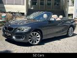 BMW 228 i Cabrio Luxury Line LEDER NAVI SPUR PDC - graue BMW 228