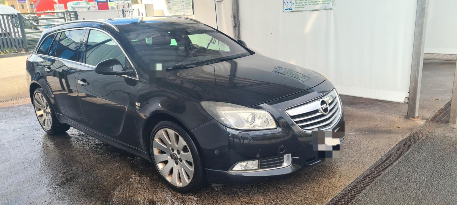 Opel Insignia 2010 — вигляд ззаду