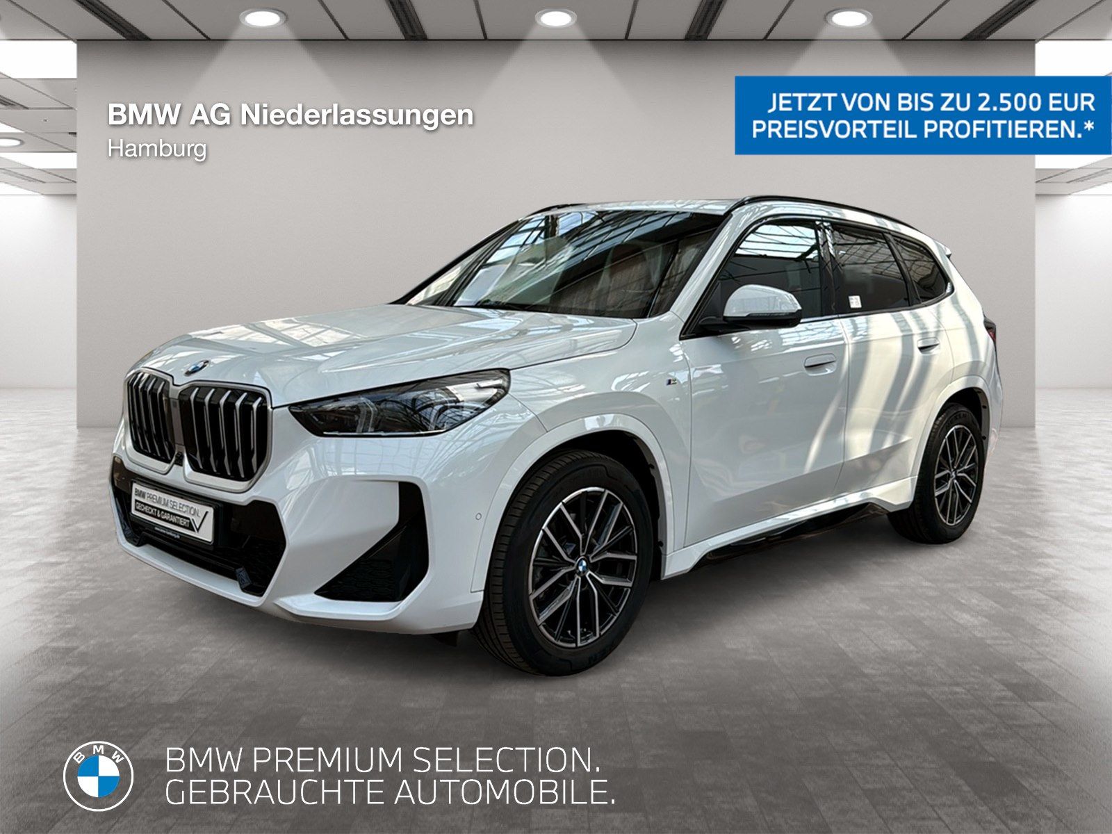 BMW X1 sDrive20d M Sport AHK Driv.Assist Harman K foto 1