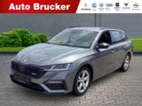 Skoda Octavia Combi RS 4x4 2.0 TDI+Anhängerkupplung+Na