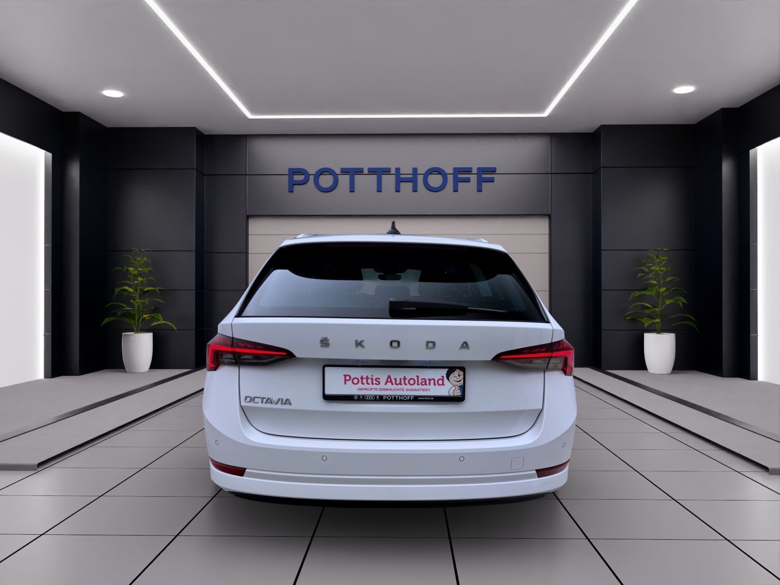 Skoda Octavia - Bild 4