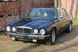 Jaguar # Jaguar XJ 12 Daimler Double Six Serie II... - Jaguar Daimler in Hamburg