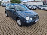 Volkswagen Polo IV Cricket - Volkswagen Polo: Cricket