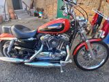 Harley-Davidson Sportster XL 1200 Custom - HARLEY-DAVIDSON 2010 SPORTSTER 1200