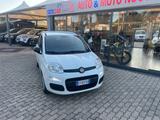 Fiat Panda 1.3 MJT S&S Lounge - Fiat Panda LOUNGE mit Diesel-Antrieb