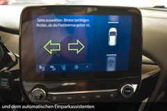 FORD Fiesta 1.0 Hybrid Titanium X~Automatik~LED~Navi