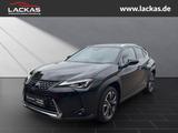 Lexus UX 250h STYLE EDITION*LED*KAM*CARPLAY*GARANTIE - Lexus UX aus 2022