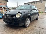 Volkswagen VW Lupo 1.4l Benzin Faltdach 106 tkm - Volkswagen: Kleinwagen, Faltdach