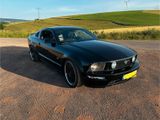 Ford Mustang GT 4.6l V8 - Ford Mustang aus 2007: Coupé