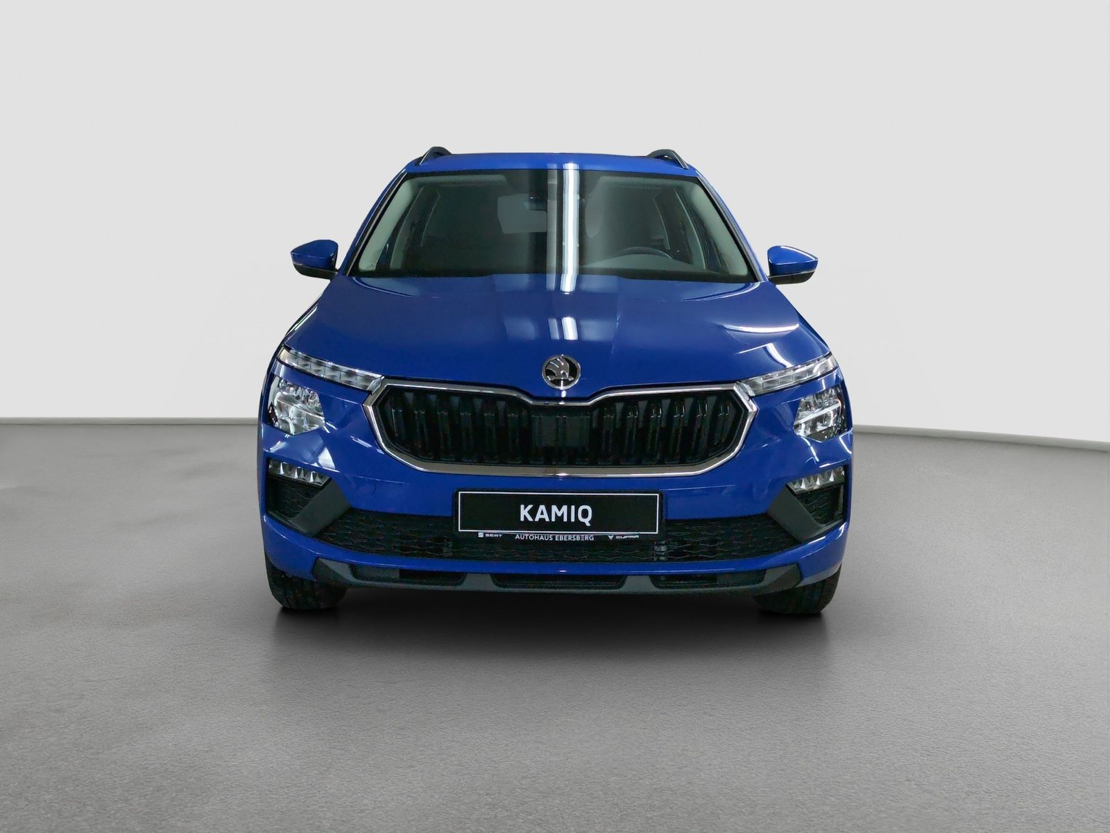 Skoda Kamiq - Bild 3