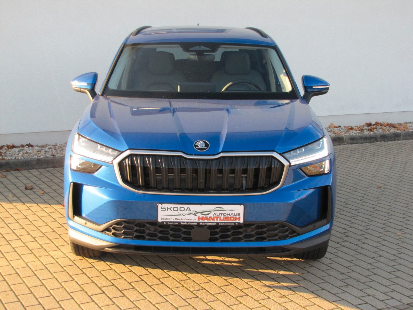 Fahrzeugabbildung SKODA Kodiaq Selection 2.0 TDI 150PS 7-Gang DSG