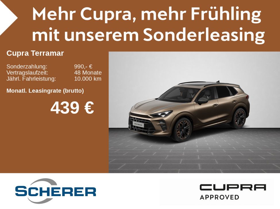 Cupra Terramar