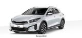 Kia XCeed 1.0 AT Klimaut Alu Privacy s.hzg MJ2026 - Kia XCeed Tageszulassungen