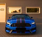 Ford Mustang GT 350 Shelby - Ford Mustang: Gt350
