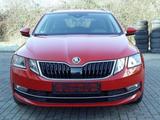 Skoda Octavia PREMIUM EDITION 2,0 TDI - 2020 - VOLLAUS - Skoda Octavia: 20v