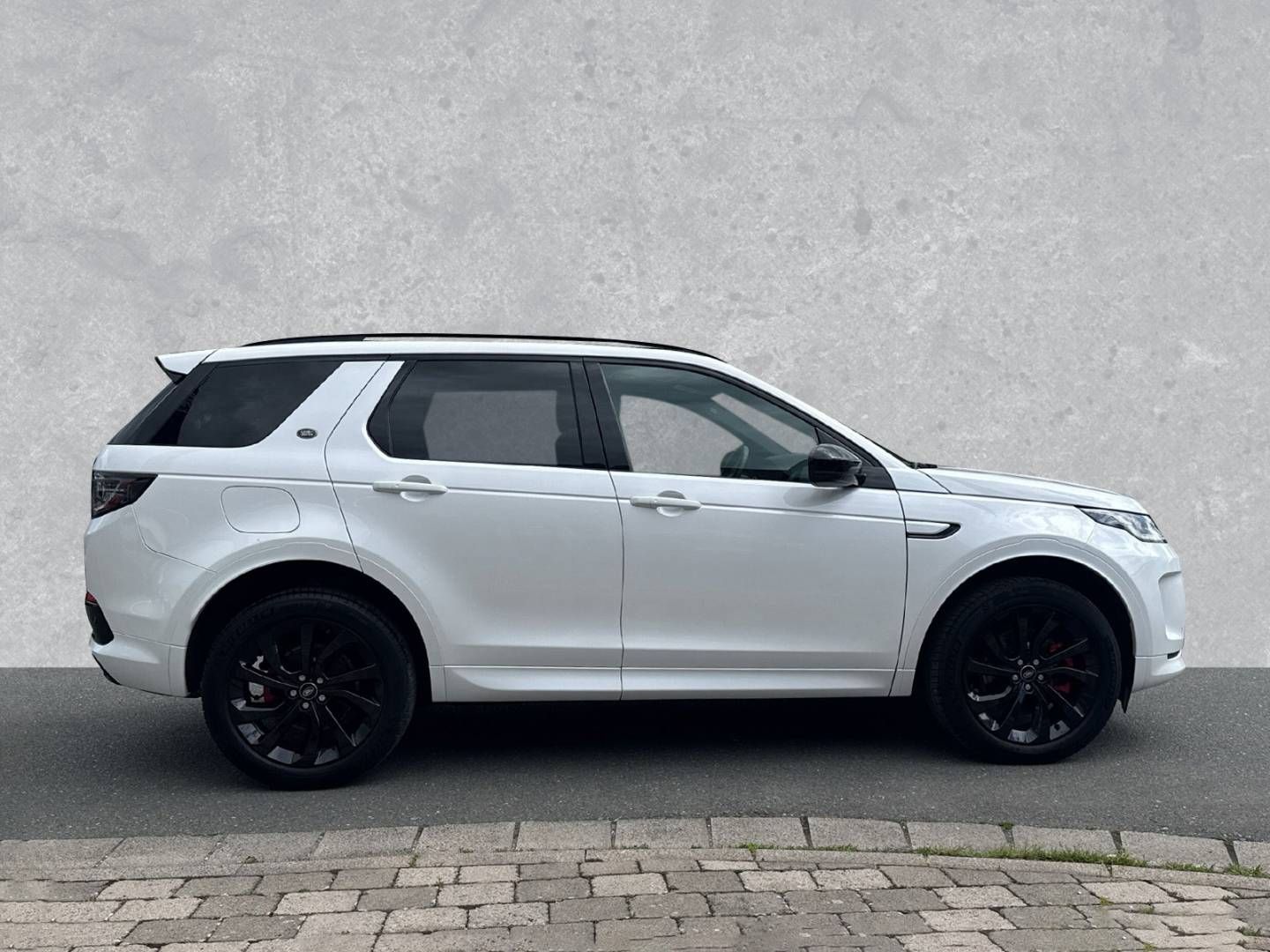 Fahrzeugabbildung Land Rover Discovery Sport D165 R-Dynamic SE
