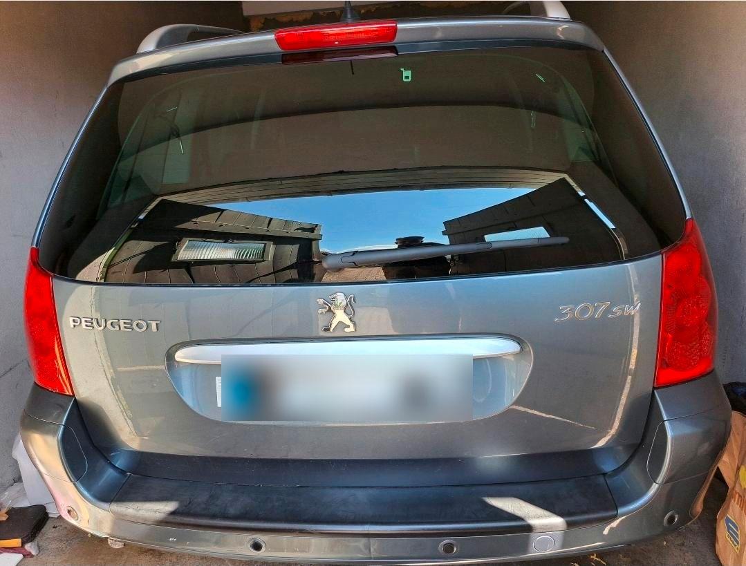 Peugeot 307 2007 — rear view