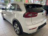 Kia Niro 1.6 GDI PHEV 2WD Aut. Spirit - Kia Niro in Duisburg