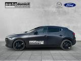 Mazda 3  Homura / Alexa / Navi / LED / RFK / IACC - Mazda Gebrauchtwagen