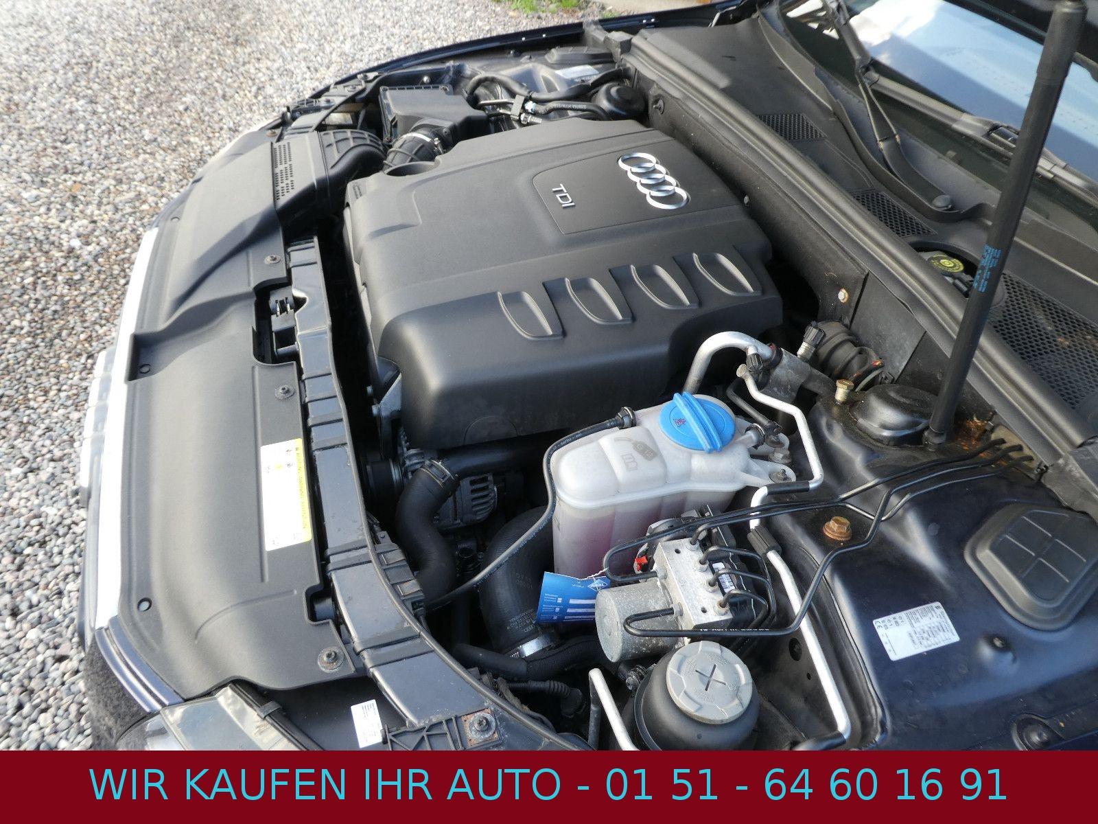 Audi Quattro 2010 — photo 29