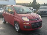 Fiat Panda Easy*NEU*TÜV* kleinwagen*NUR*62KM* - Fiat Panda: Rot
