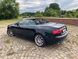 Audi AUDI A5 Cabrio TÜV neu, wenig Km, top Auss... - Audi A5