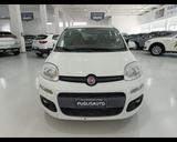 Fiat FIAT Panda 1.3 MJT 80 CV S&S Easy - Fiat Panda EASY mit Diesel-Antrieb