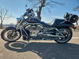 Harley-Davidson V-Road VRSCAW - Offers