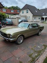 Ford Mustang - Ford Mustang in Oldenburg