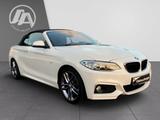 BMW 228 i Cabrio M Sport BiXenon+SHZ+PDC+Navi+Harman - BMW 228: 3 Türen
