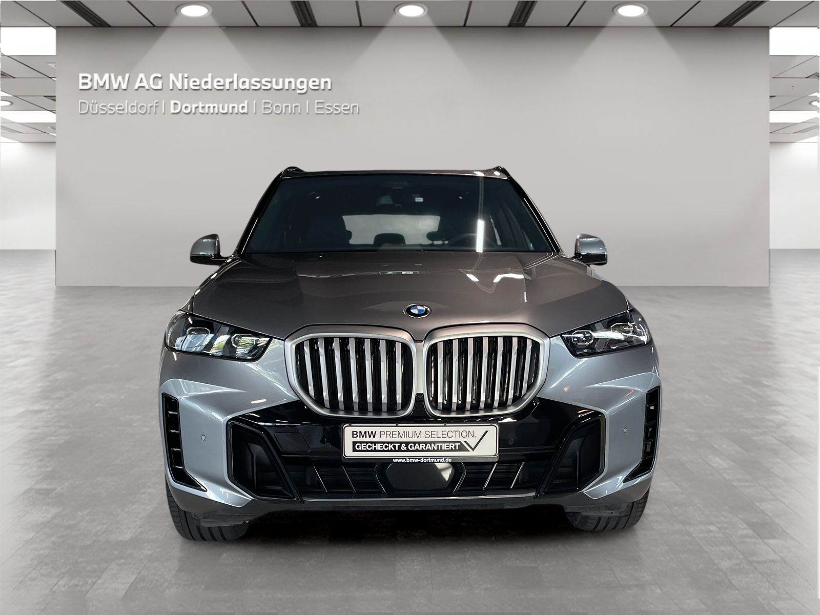 BMW X5 - Bild 8