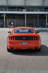 Ford Mustang 2.3 EcoBoost  Privatverkauf - : Privatverkauf