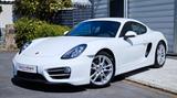 Porsche Cayman 981 PDK 19" Leder Navi PASM orig. 29TKM ! - Porsche Cayman: Weiß