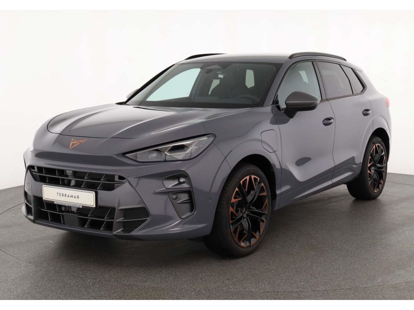 Cupra Terramar - Bild 2