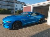 Ford Mustang 2.3 EcoBoost Velocity Blue - Ford Mustang in Stuttgart