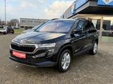 Skoda Karoq Selection 1.5 TSI SHZG LED LHZG Navi - Skoda aus 2024