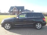 Mercedes-Benz GLK 250 CDI BlueEfficiency 4Matic AMG+Sportpaket - Mercedes-Benz aus 2011: Glk