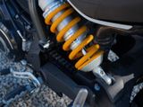 Ducati Scrambler 1100 Sport Pro - Offers matching your search criteria