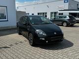Fiat Punto 1.2 8V POP  - Fiat Punto Gebrauchtwagen in Köln