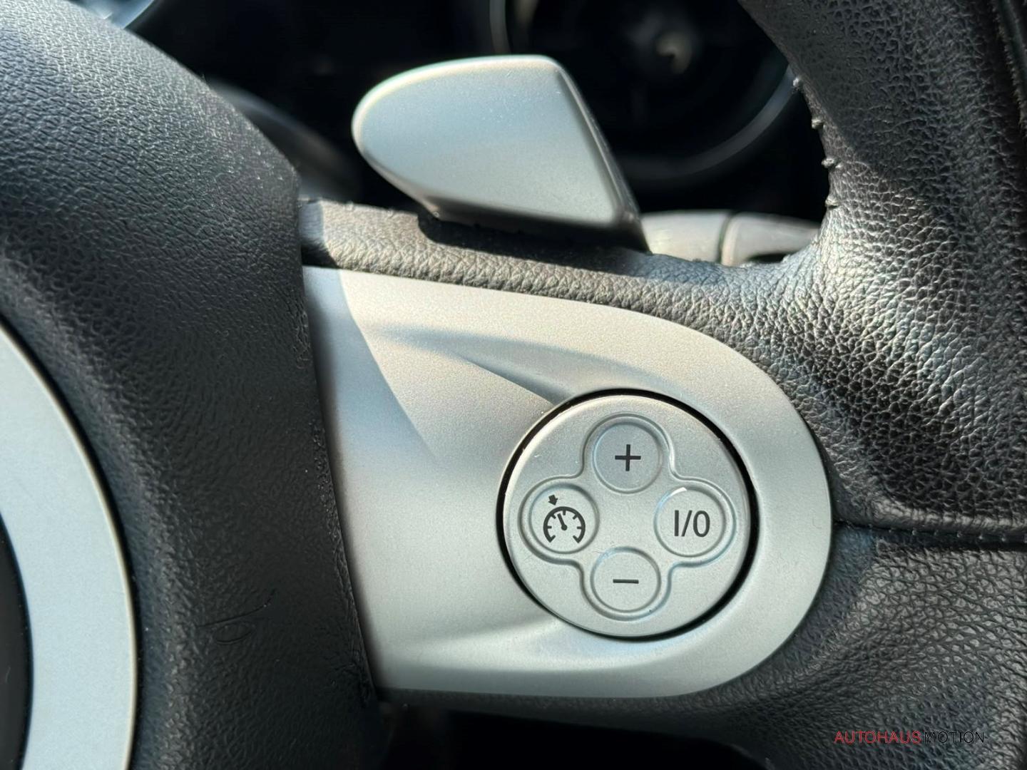 MINI Cooper S Cabrio Chili Navi HarmanKardon Bi-Xenon